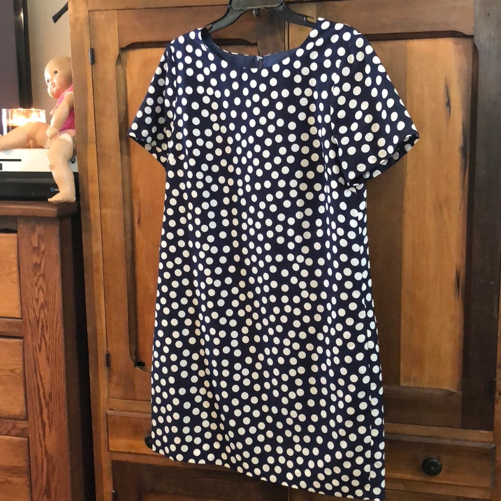 J. Crew Dress